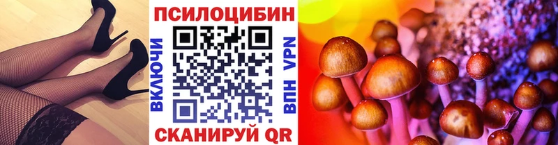 Галлюциногенные грибы Psilocybe Бийск