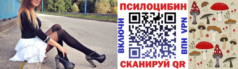 blacksprut рабочий сайт  Бийск  Галлюциногенные грибы мухоморы  что такое наркотик 
