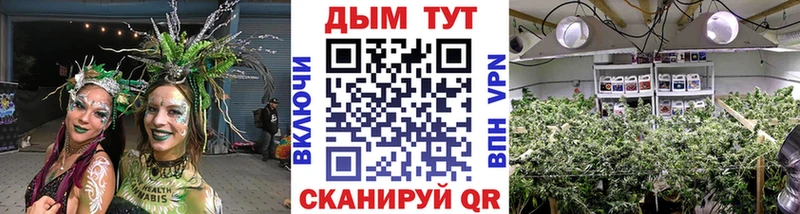 где можно купить наркотик  Бийск  Канабис марихуана 
